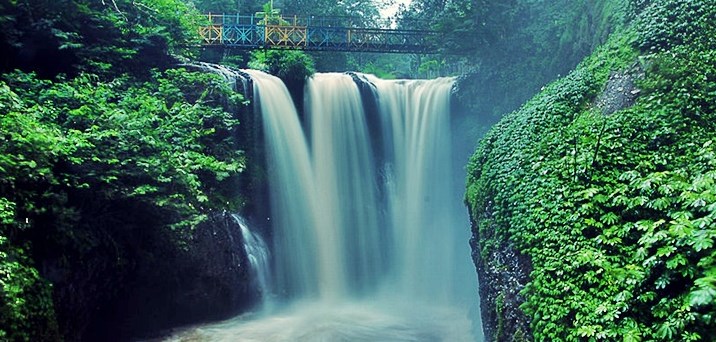 Keindahan Taman Hutan Raya Ir. H. Djuanda Surga Alam