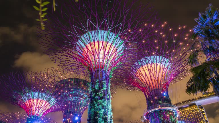 Pesona Magis Gardens by the Bay + Supertree Groove